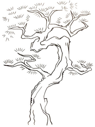 『松・松の木』　和風・浮世絵風イラスト　描き方　Kenji Iwasaki　岩崎健児